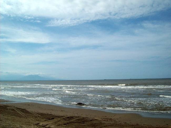 Bandera Paz Coatzacoalcos 12